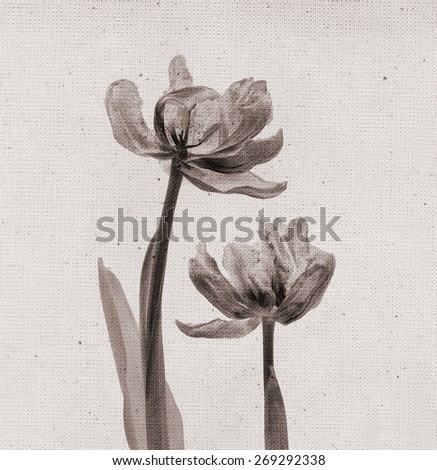 Beautiful tulips. Vintage illustration with botanical imprint or x-rays scan. Canvas texture linen fabric background. Vintage concept or conceptual old retro aged fabric. Sepia, brown. Bohemian