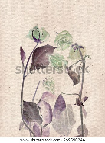 Beautiful roses. Vintage illustration with botanical imprint or x-rays scan. Canvas texture linen fabric background. Vintage concept or conceptual old retro aged fabric. Brown, purple, green. Bohemian