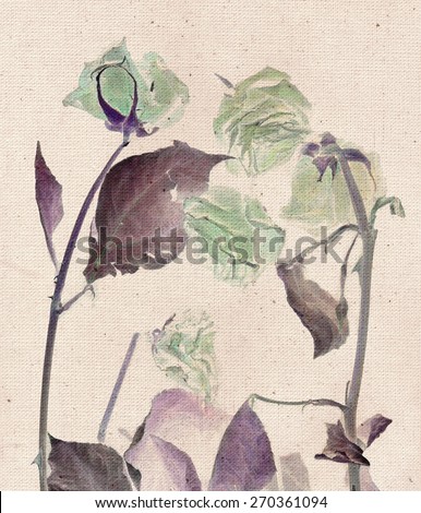 Beautiful roses. Vintage illustration with botanical imprint. Canvas texture linen fabric background. Vintage concept or conceptual old retro aged fabric. Brown, purple, green. Bohemian