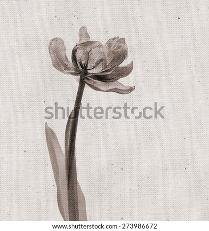 Beautiful tulip. Vintage illustration with botanical imprint or x-rays scan. Canvas texture linen fabric background. Vintage concept or conceptual old retro aged fabric. Sepia, brown. Bohemian