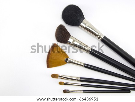Set of professional makeup brushes.