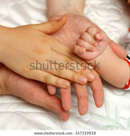 Four hands of the family, a baby, a daughter, a mother and a father. Concept of unity, support, protection and happiness.