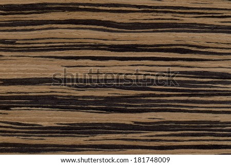 ebony design texture of wood background closeup