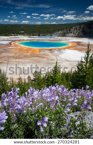 Colorful of Grand Prismatic Spring in Yellowstone National Park, Wyoming, US