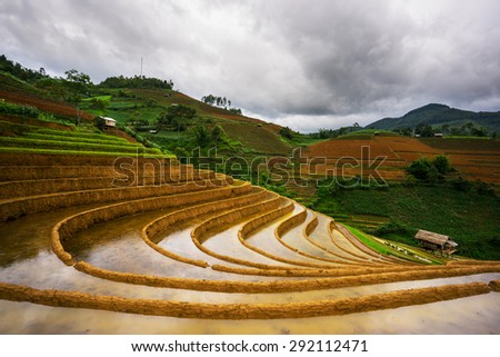 terrced rice fields - Before raining terraced rice fields in Mu Cang Chai, Vietnam