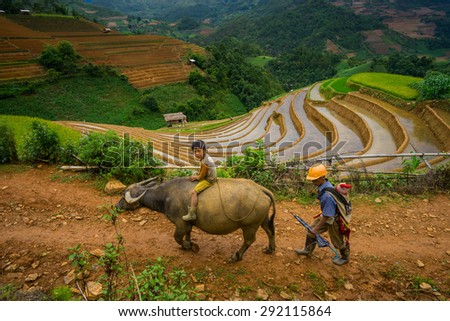 MU CANG CHAI, VIETNAM - JUNE 13: The unidentified farmers do agriculture job on their fields on June 13, 2015 in Mu Cang Chai, Yen Bai, Vietnam. This work is part of the Vietnam traditional farmers.