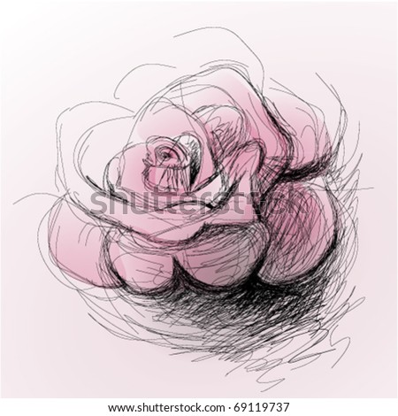 rose flower sketch. stock vector : Rose flower