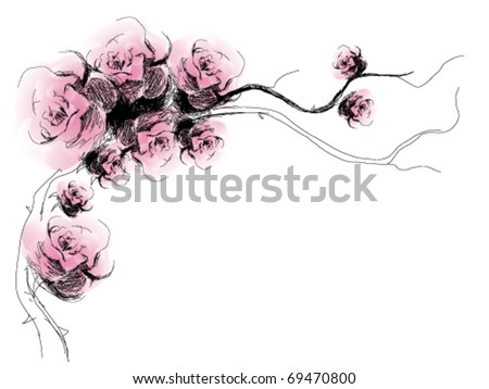 rose flower sketch. vector : Dog-Rose flowers