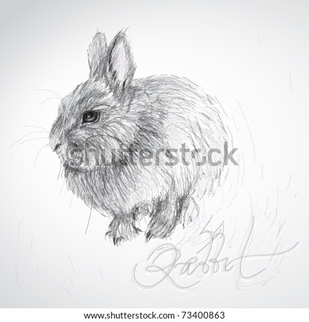 cute rabbit clipart. stock vector : Cute Rabbit
