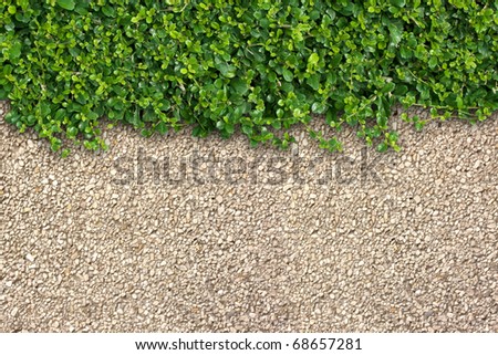 Small green plants depend on a small brown sandstone.