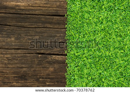 grass and Small green plants depend on old wood