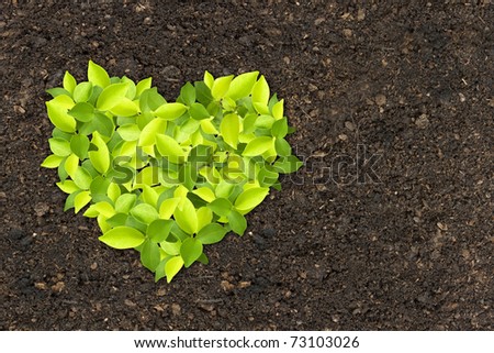 Sprout green plants growing a heart shape on soil manure in the birds eye view