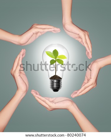 Bulb light in woman hand, light bulb with sprout inside on green background