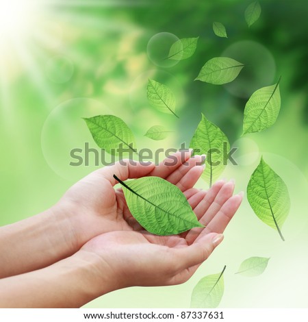 Care leaves with your hands in the world