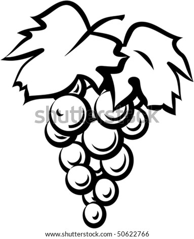 Clip Art Grapes. stock vector : Grape vine