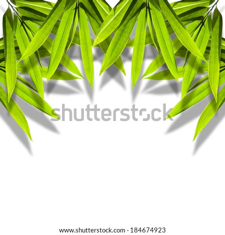 Bamboo leaves ,design for background.