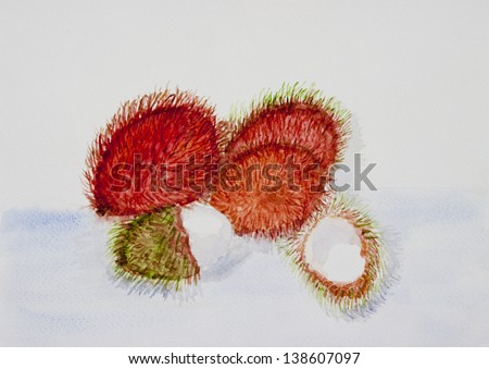 Rambutan fruits \' water color painting