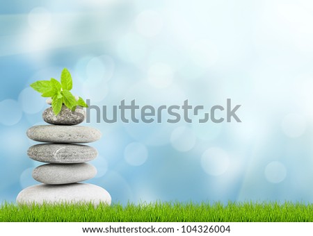 Green grass with stones, natural background with selective focus. spa concept