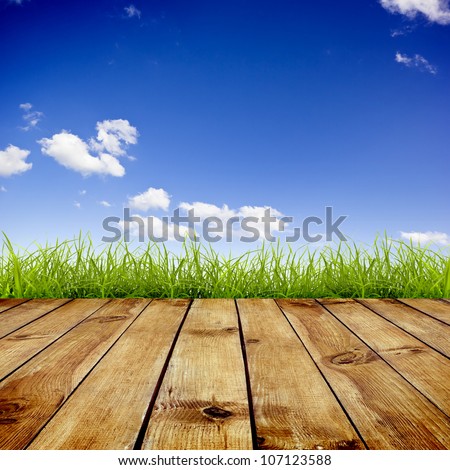 Fresh spring green grass with blue sky and wood floor background