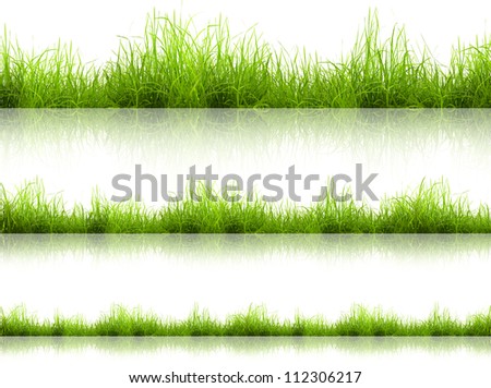 green grass with reflection isolated on white background