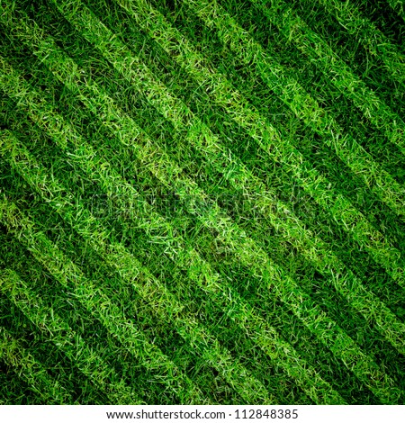 Green grass natural background. Football field. Top view.