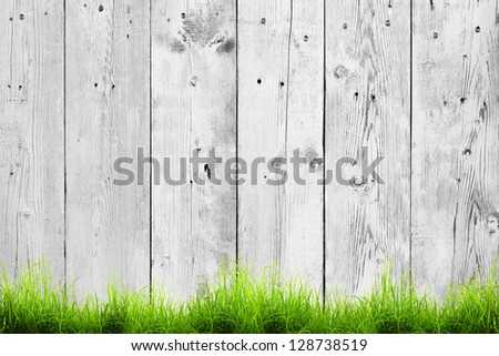 Fresh Spring Green Grass And Leaf Plant Over Wood Fence Background