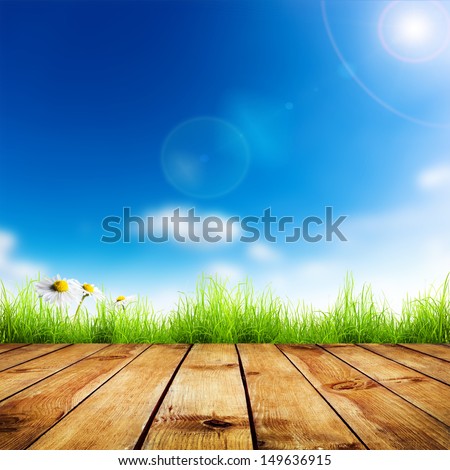 Fresh spring green grass and white flower camomile with blue bokeh and sunlight and wood floor. Natural background