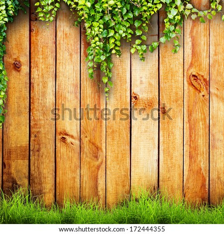 Fresh Spring Green Grass And Leaf Plant Over Wood Fence Background