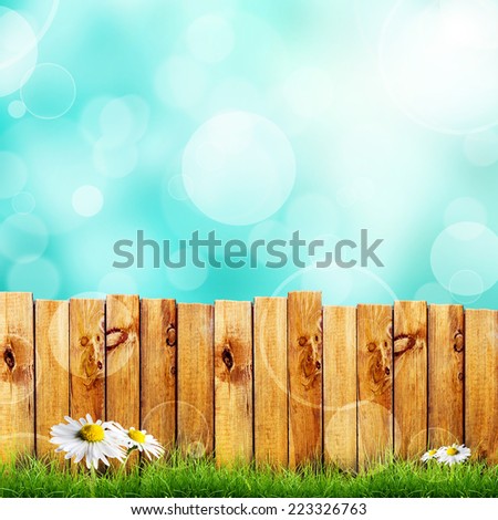 Wooden fence and green grass with white camomile flower against blue bokeh sky background