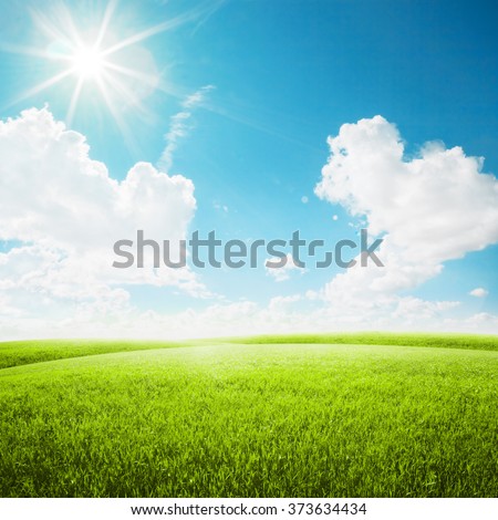 Green field under blue sky. Beauty nature background
