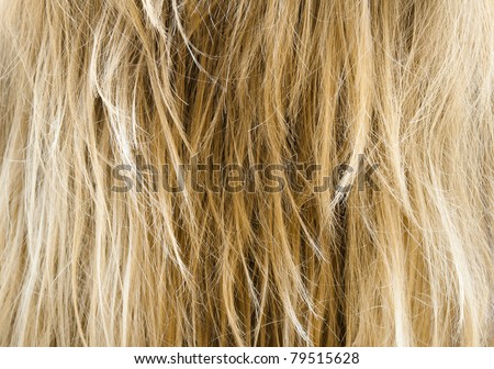 Human Hair texture