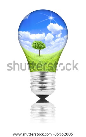 Natural energy concept. Lightbulb with summer meadow