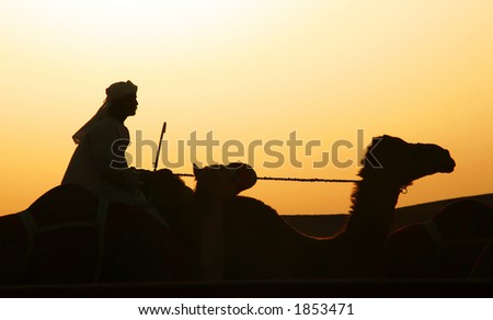 Desert nomad riding a camel as the sun sets.