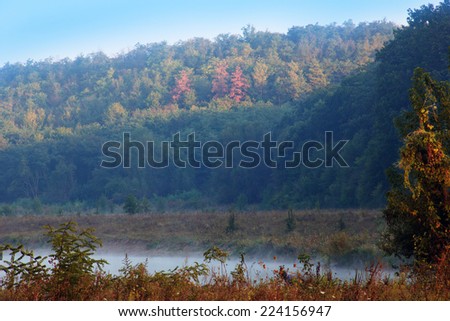 landscape consisting of green trees, mountains, valley and river with mist