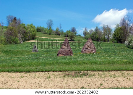two heaps of the dried hay on a green grass in front of which strip of the plowed earth, and on a hill height - trees against the blue sky with clouds