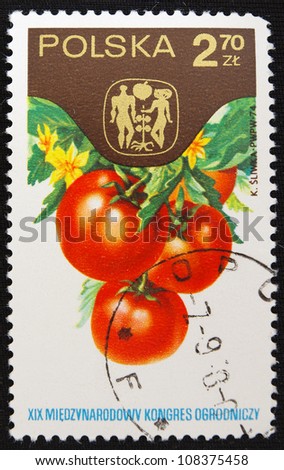 POLAND - CIRCA 1962: A stamp printed in Poland shows Tomato, circa 1962