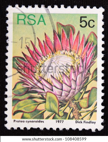 SOUTH AFRICA - CIRCA 1977: A stamp printed in South Africa shows Flower, circa 1977
