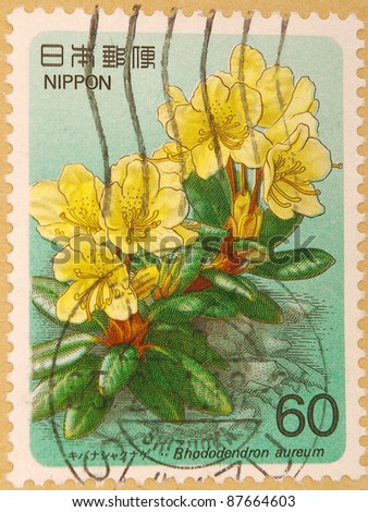 JAPAN - CIRCA 2000: A stamp printed in japan shows Flower, circa 2000