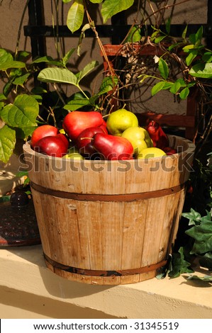 Wooden bucket filled with colorful pears surrounded by large green leaves.