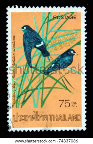 THAILAND - CIRCA APRIL 1975: A postage stamp printed in Thailand shows image of Thai bird with the inscription \