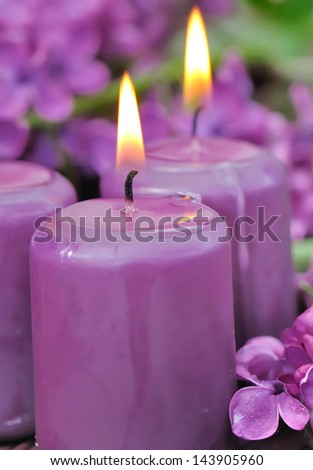 purple lilac fragrance candles among flowers