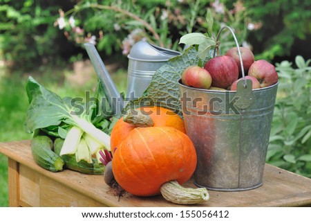 seasonal vegetables and apples from vegetable garden