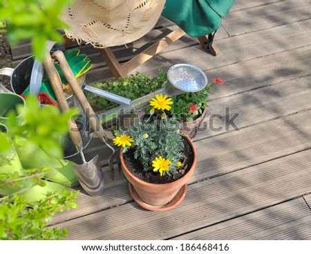 flowers pots, tools and over accessories to gardening on a wooden terrace