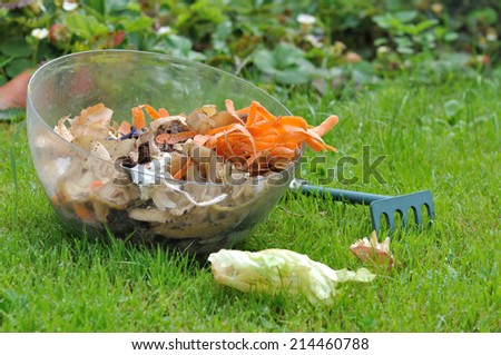 vegetable peelings in a container on the grass