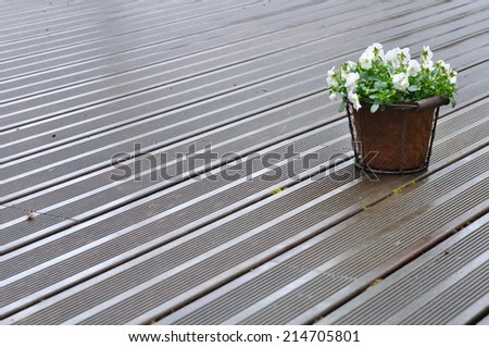 small pot of flowers on deck wet wood by rain