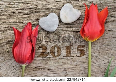 two red tulips placed on wooden board with two hearts stone- new year 2015