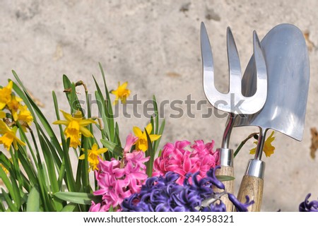spring flowers and garden tools on a wall background