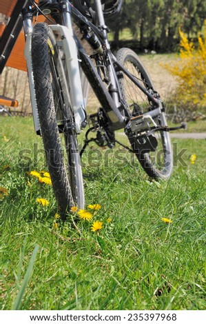 close on a mountain bike wheel on grass with dandelions