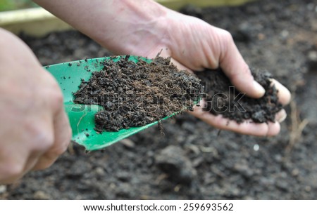hand man holding a gardening tool full with compost for garden