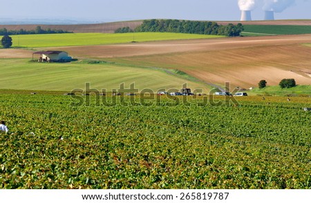landscape of Champagne during the harvest with fireplaces a background in nuclear plant